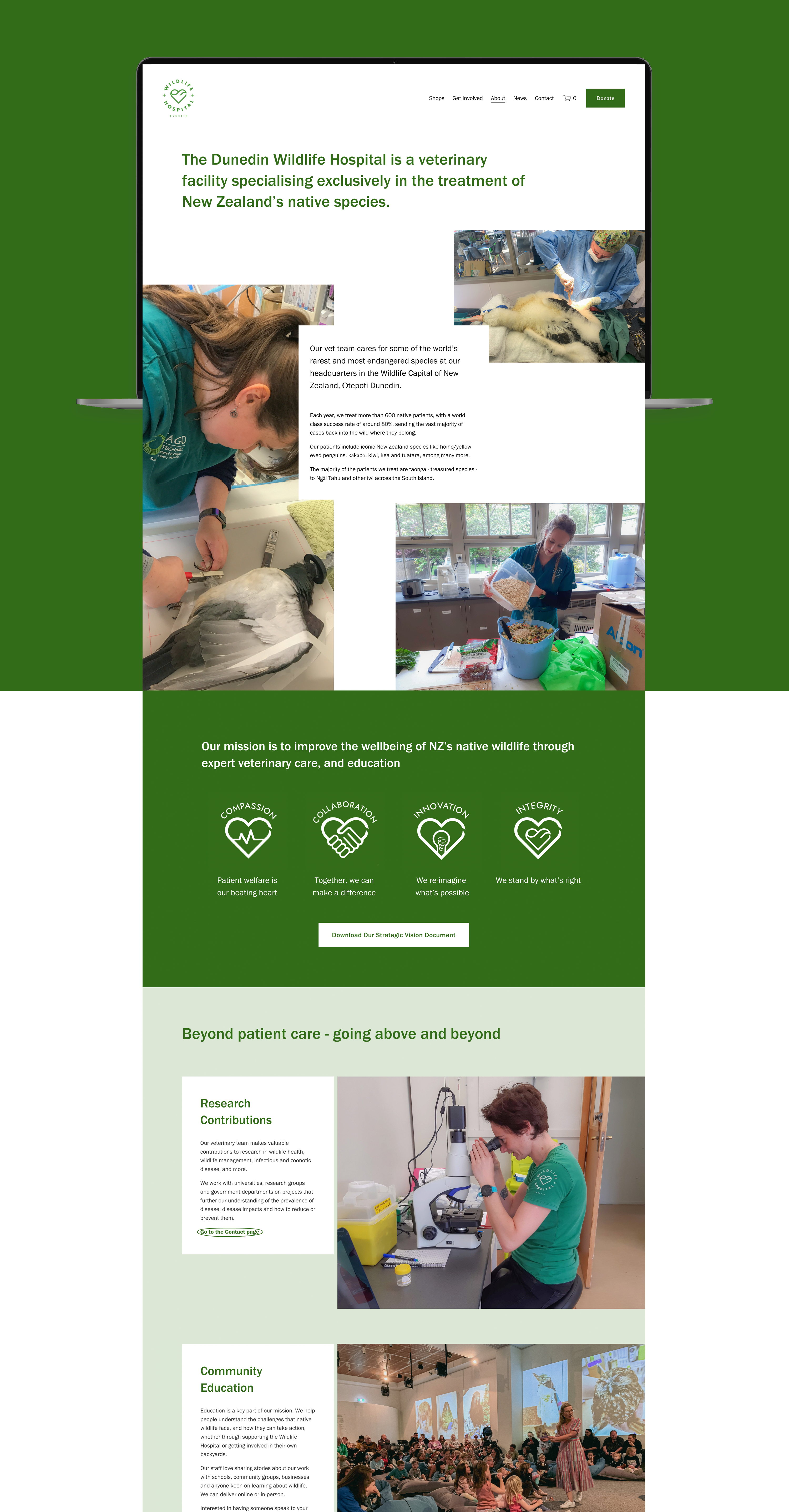 wildlife-hospital-what-we-do.png